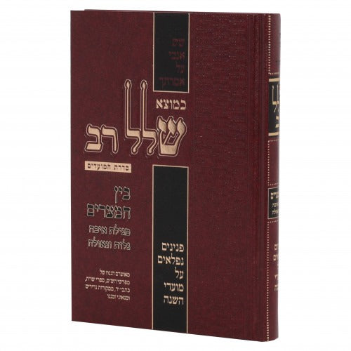 כמוצא שלל רב - בין המצרים