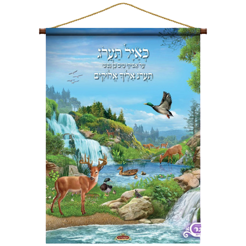 רולאפ כאיל תערוג - ייחודי ומרהיב לסוכה