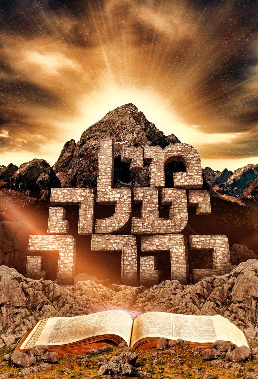 Laminated Poster 19" x 26"-Mee Ya'aleh-Mann