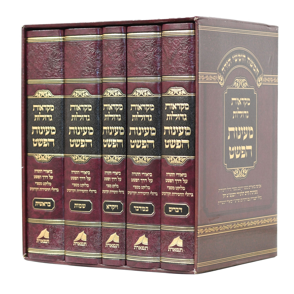 חומש מקראות גדולות מעיינות הפשט - ה"כ