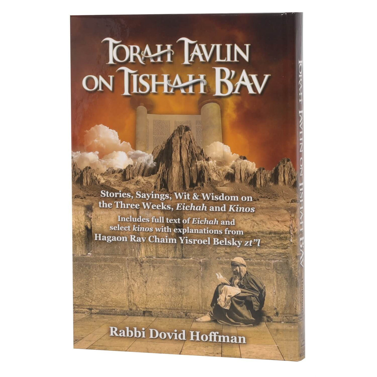 Torah Tavlin on Tisha B'av