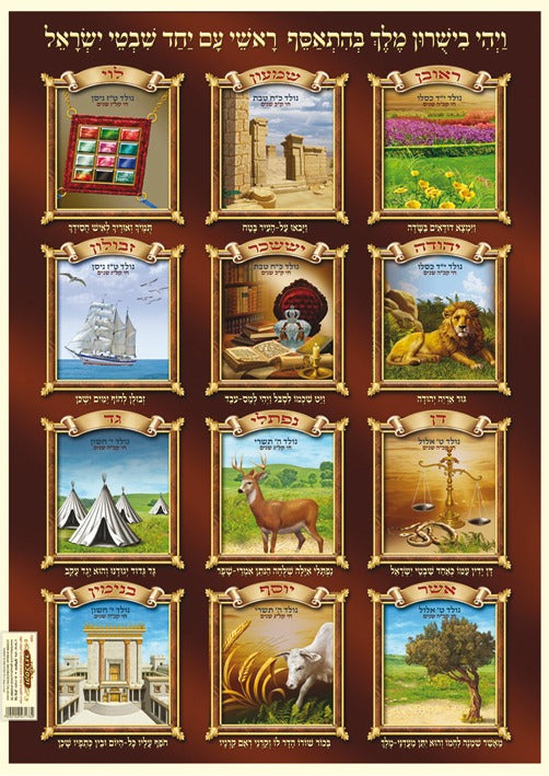 Laminated Poster 20" x 28"- Shevatim