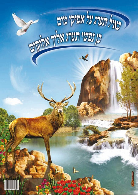 Laminated Poster 20" x 28"- Tehillim