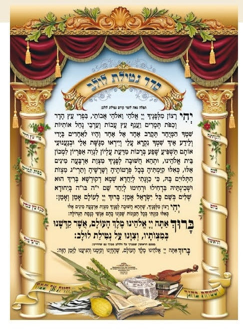 Laminated Poster 20" x 28"- Netilat Lulav