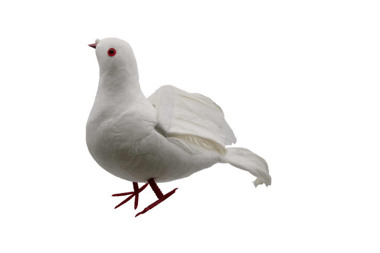 Noy Sukkah, Hanging Dove, Bird (2467)