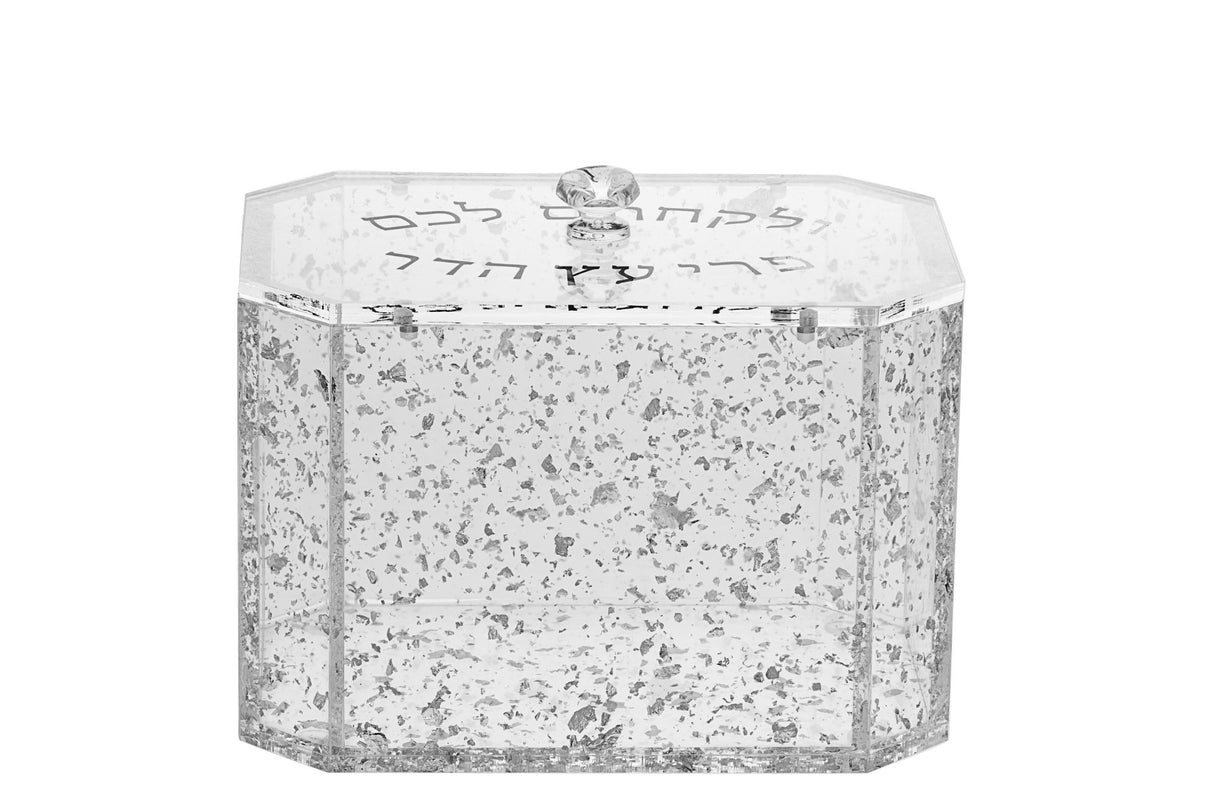 Ethrog Box Lucite Flakes Silver