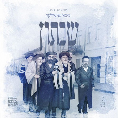 מיכאל שניצלר - שבתון / Shabbuson - Michoel Schnitzler USB