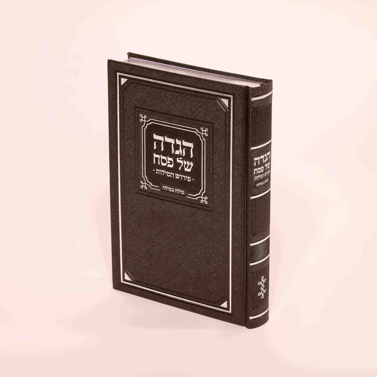 הגדה פירוש המילות מילה במילה אידיש - מאירות Brown