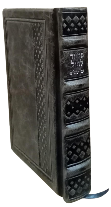 L06-GR16_125799_.png
