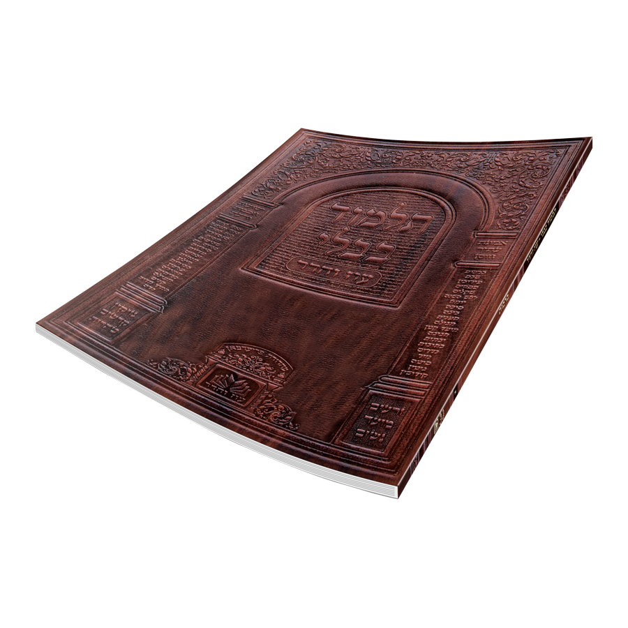 גמרא מס' מנחות (ל) רכה כיס - עוז והדר