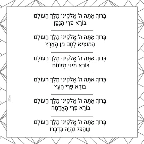 Brochos – Grey/White