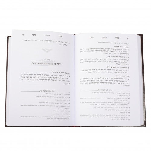 אקח מועד - הלכות בן חוץ לארץ השוהה בארץ ישראל בזמן המועד ובכל ימות השנה