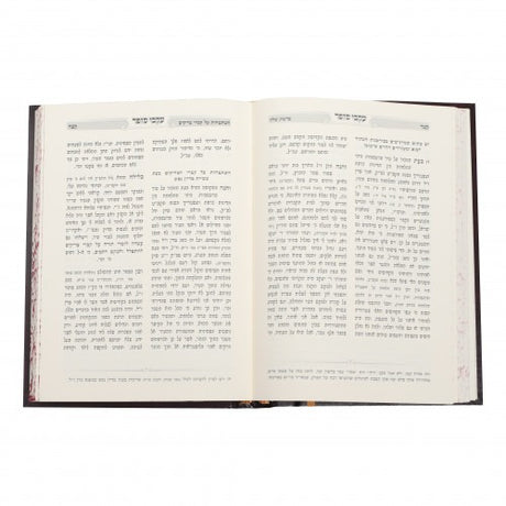 עקבי הסופר - במדבר א
