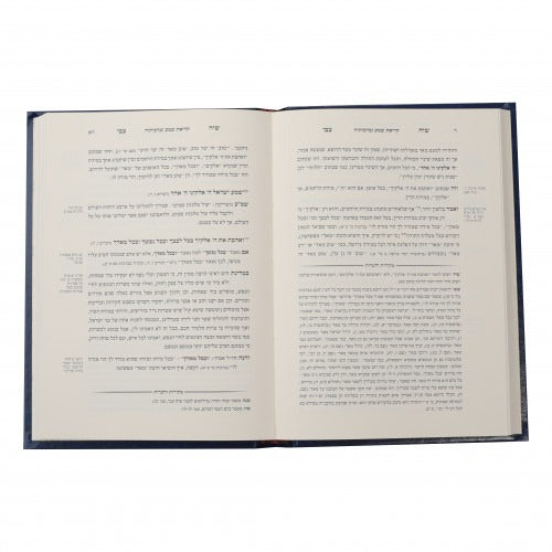 שיח צבי - על תפלת חול פרבר