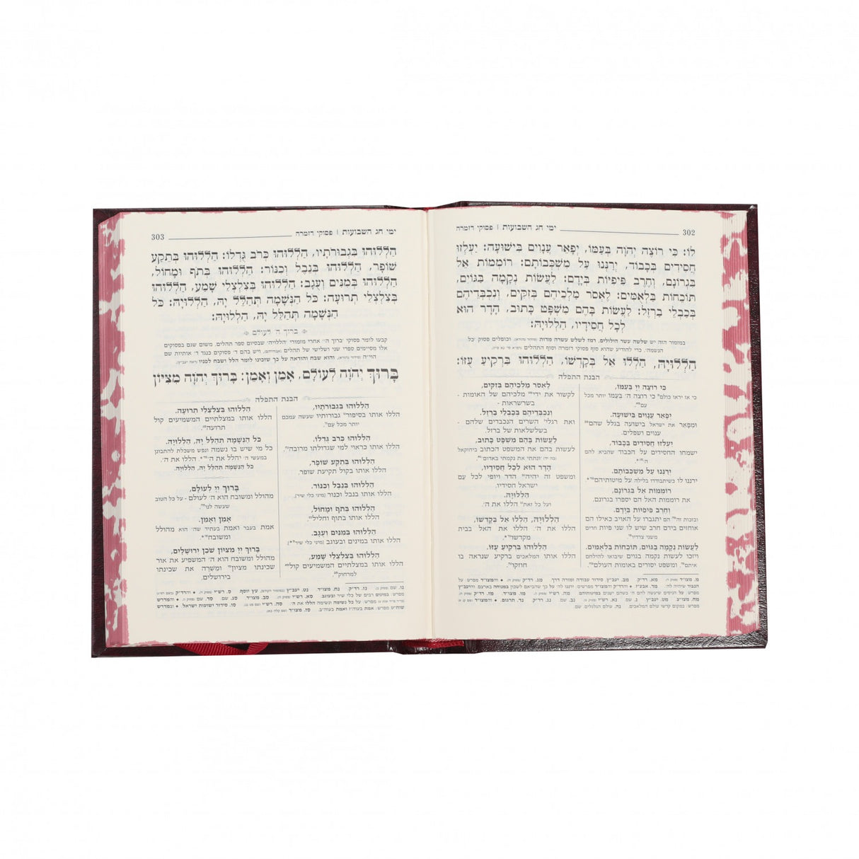 מחזור הערוך בהבנה ה"כ גדול - כפתור ופרח