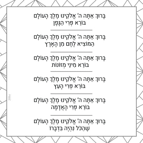 Brochos – Grey/White