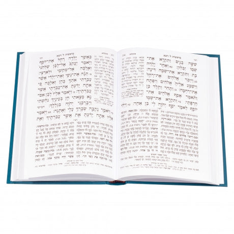 חומש המנוקד חורב בראשית באותיות רש"י