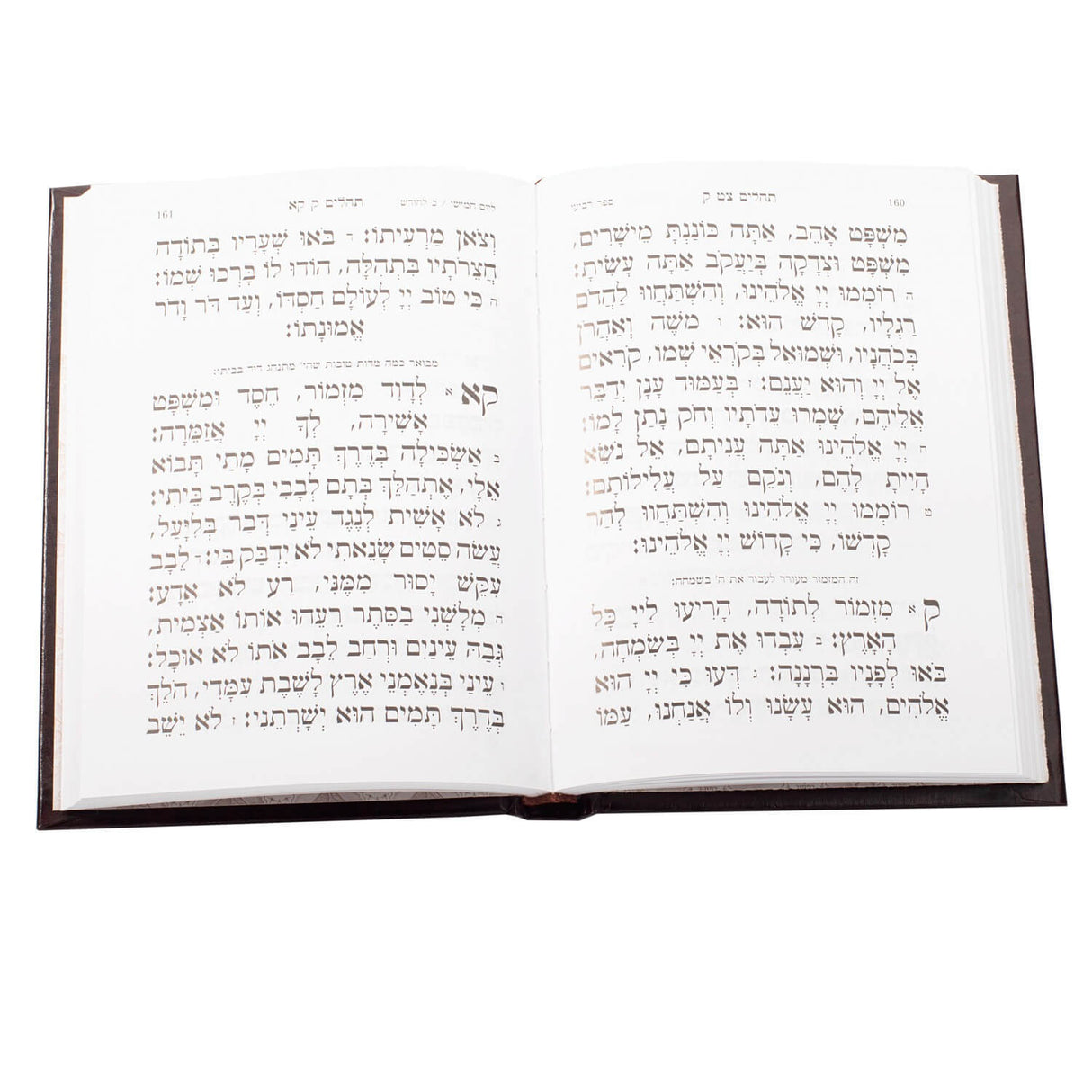 תהלים אור חדש אלבום