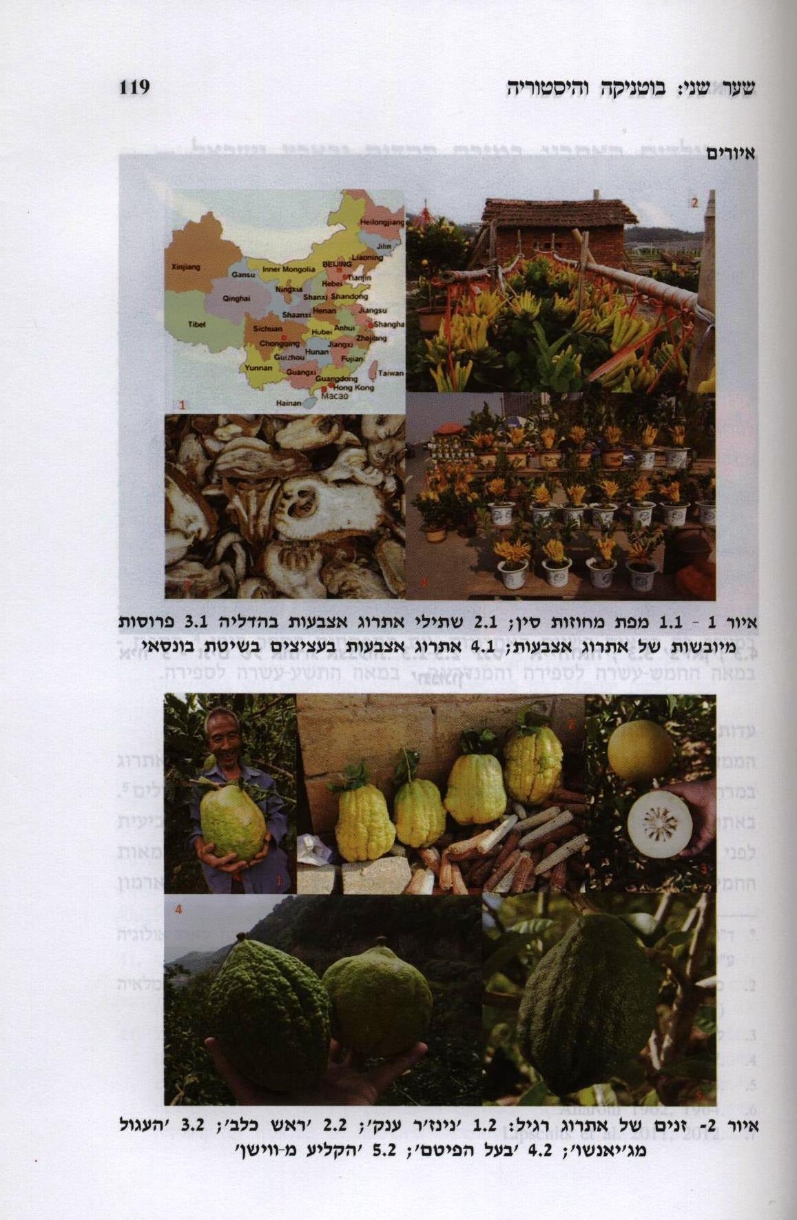 154972_37872_.jpg
