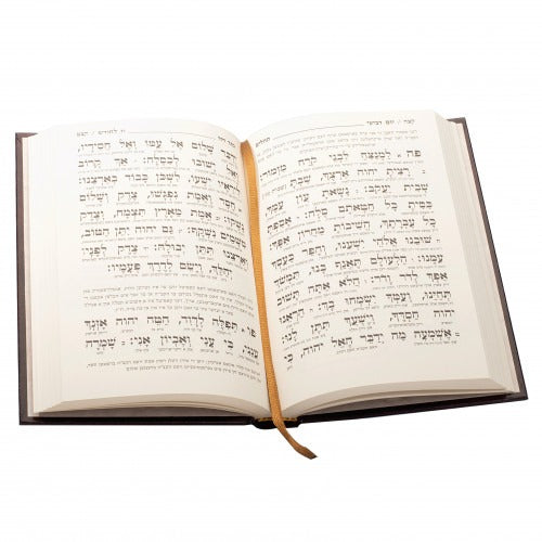 תהלים תפלה בכוונה - כתר דוד גדול - אידיש