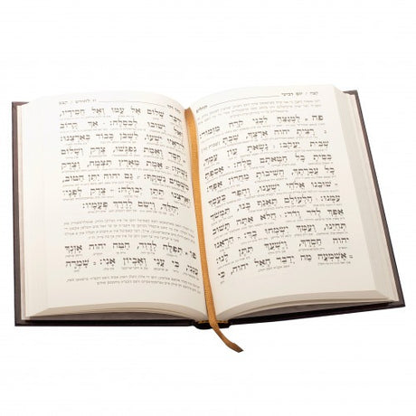 תהלים תפלה בכוונה - כתר דוד גדול - אידיש
