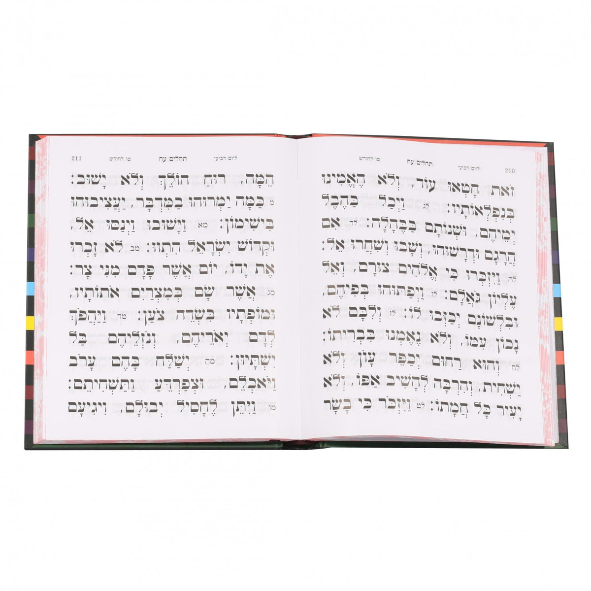 K56PSLM_117242_.jpg
