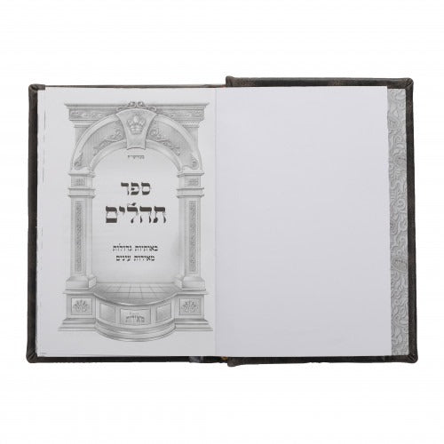 תהלים / Tehillim - Medium B'Osios Gedolos