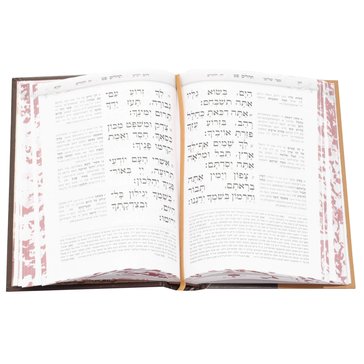 תהלים אור החיים עם פירוש נפלא באידיש