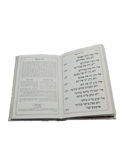 הגדה של פסח עם טייטש באידיש - כפתור ופרח PU Silver