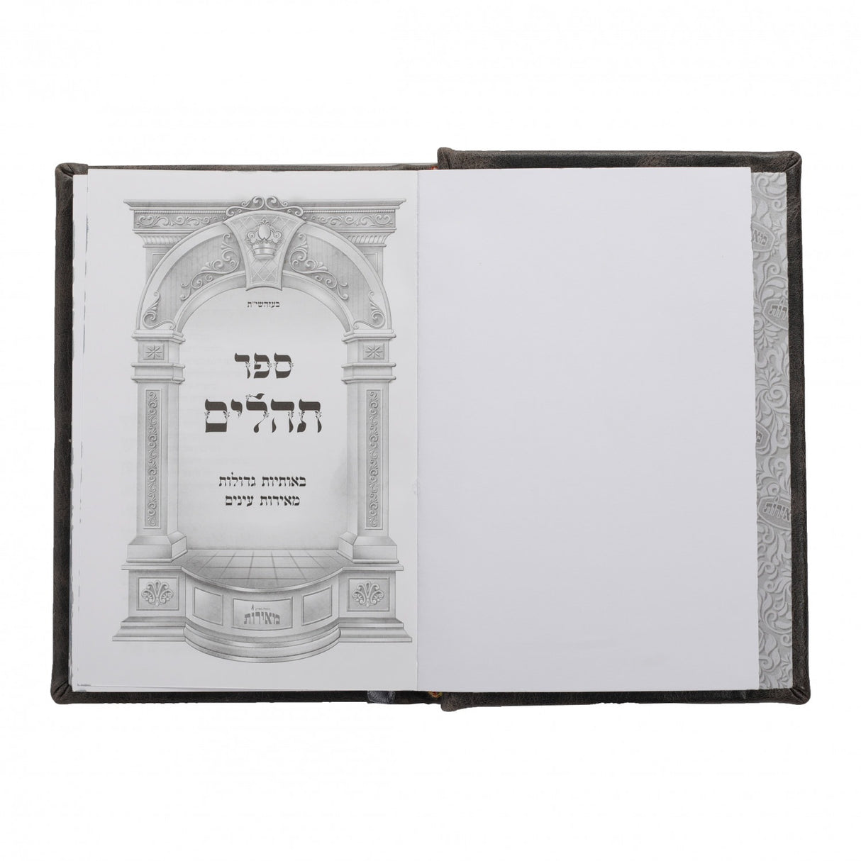 תהלים / Tehillim - Medium B'Osios Gedolos