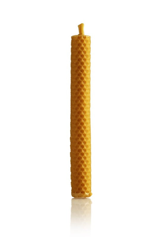 7442157338309_40137_.jpg