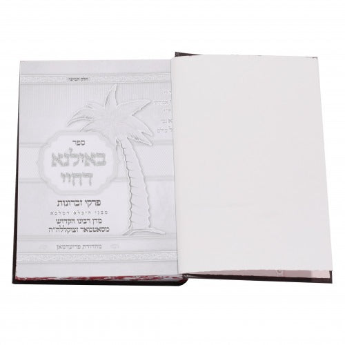 באילנא דחיי חלק ה - סאטמאר אידיש