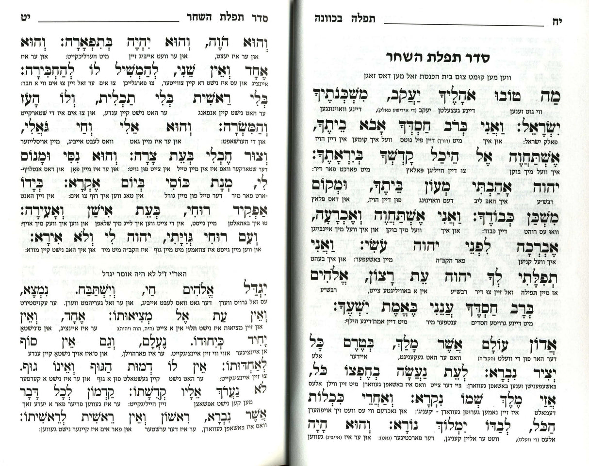 סדור תפלה בכוונה השלם גדול - אידיש