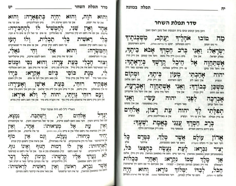 סדור תפלה בכוונה השלם גדול - אידיש