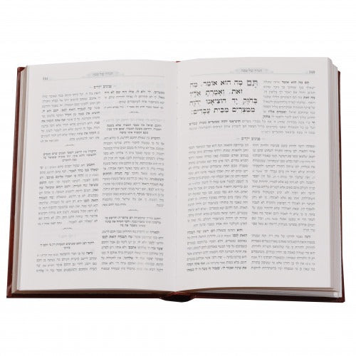 הגדה של פסח כל בו המבואר - מאירות PU Brown