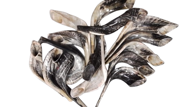 Classic Shofer - MOROCCO