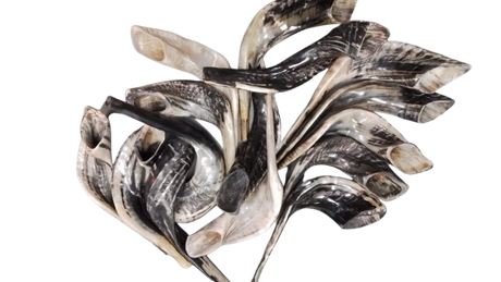 Classic Shofer - MOROCCO