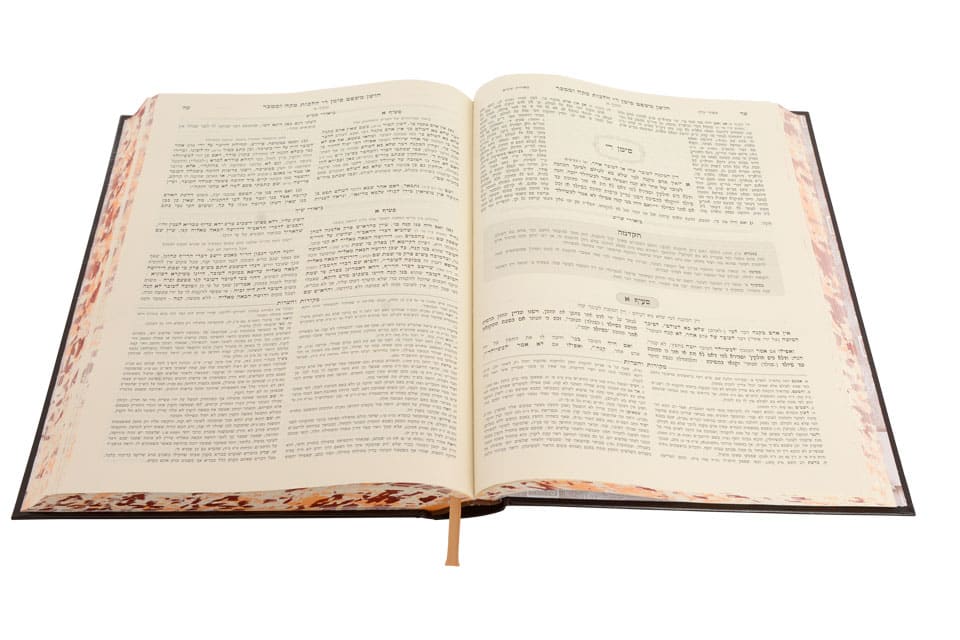 שולחן ערוך מתיבתא חו"מ מקח וממכר ג' (רו-ריג)