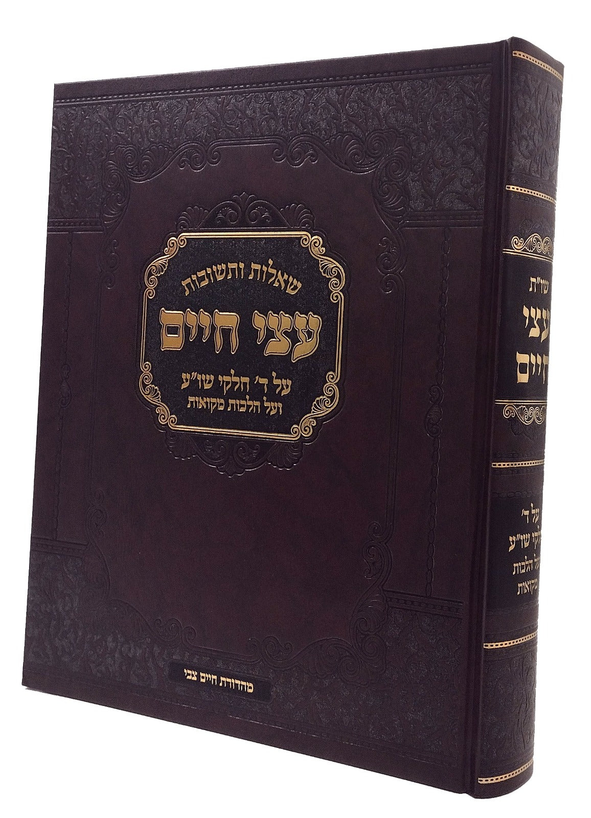 שו"ת עצי חיים / הל' מקואות