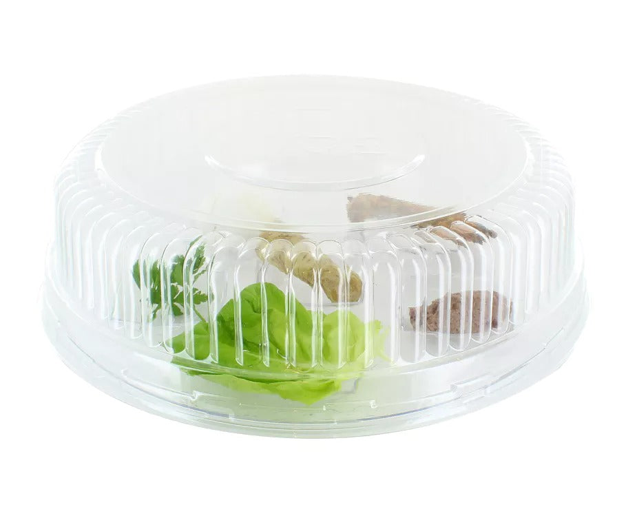 Disposable Deli Lid For Clear Seder Plate
