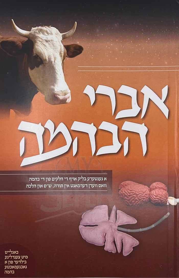 איברי בהמה - תמונות