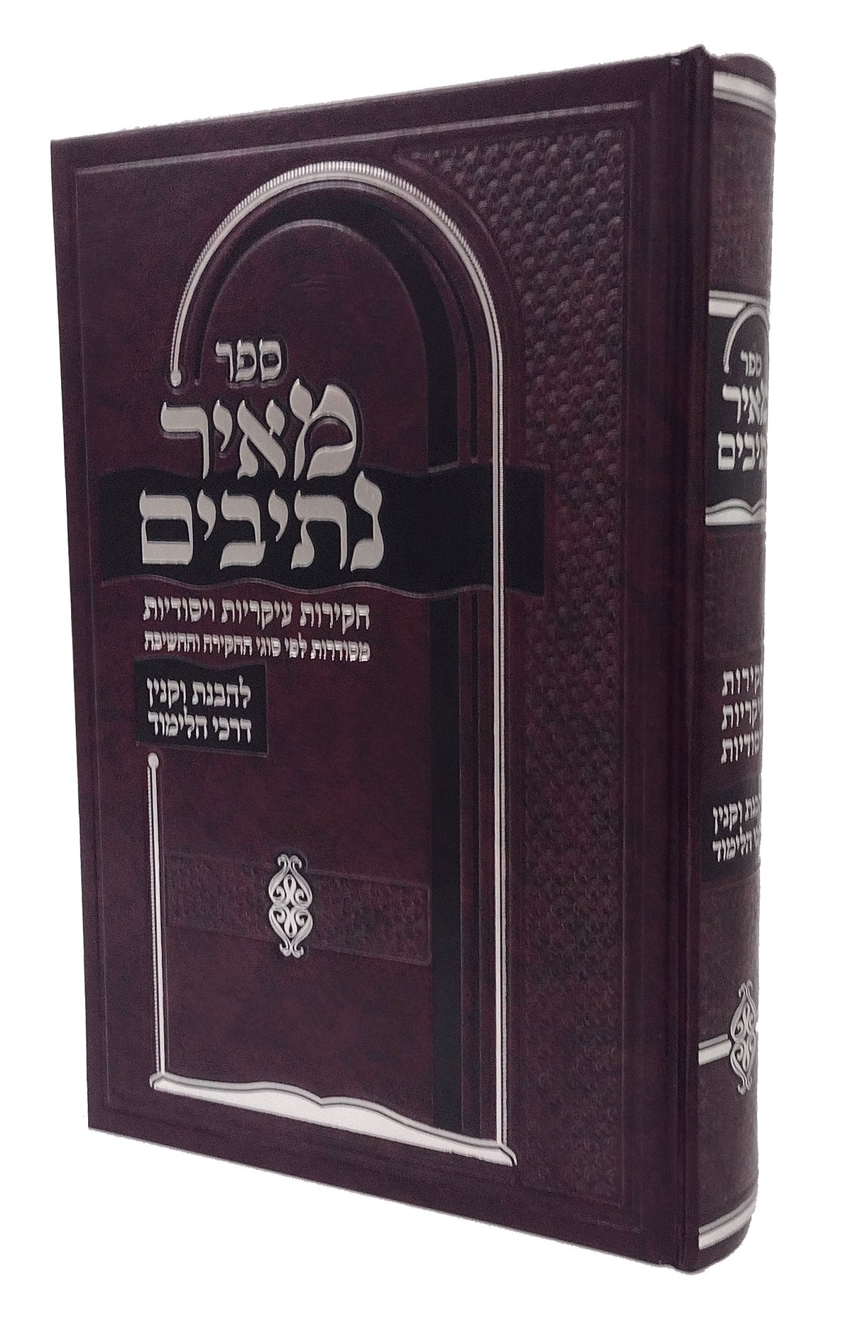 מאיר נתיבים -חקירות- להבנת וקנין דרכי הלימוד