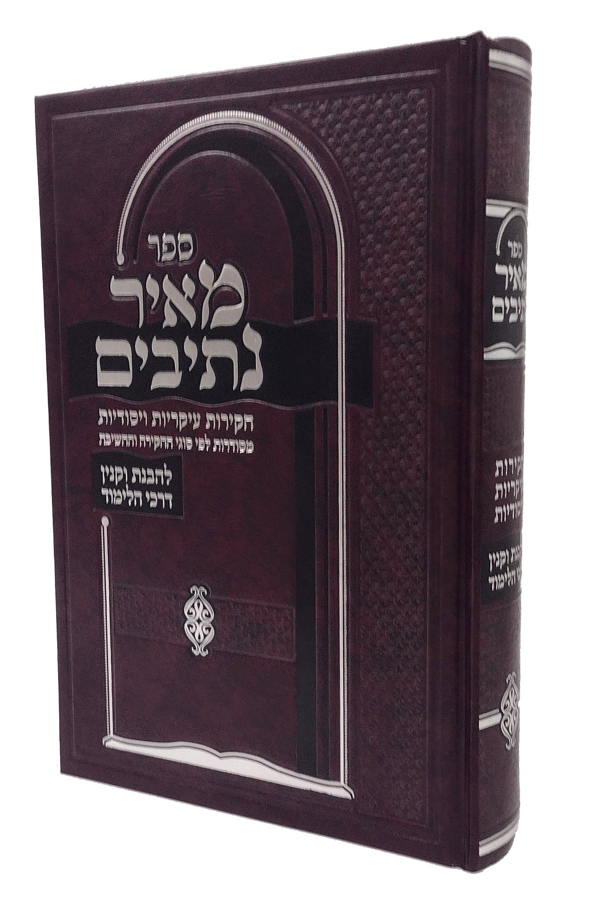 מאיר נתיבים -חקירות- להבנת וקנין דרכי הלימוד