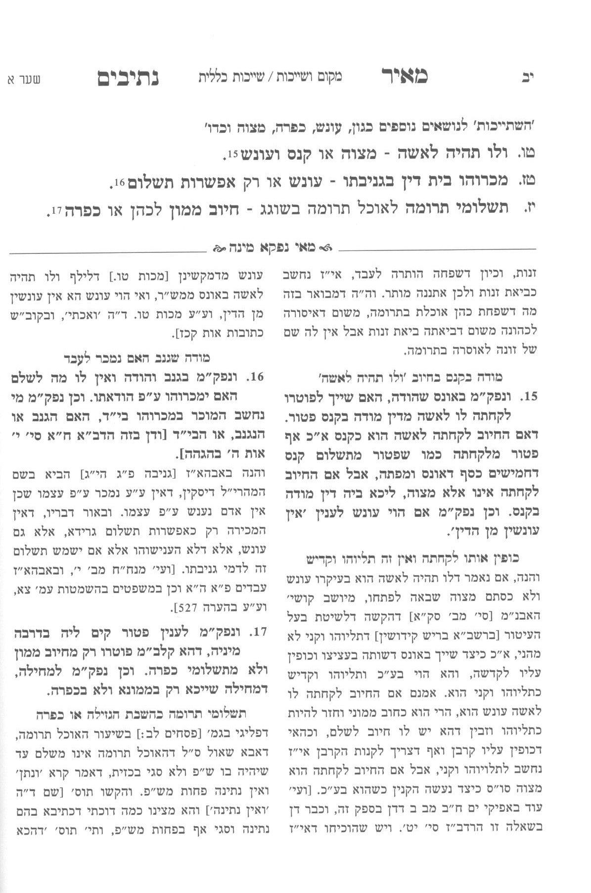 מאיר נתיבים -חקירות- להבנת וקנין דרכי הלימוד