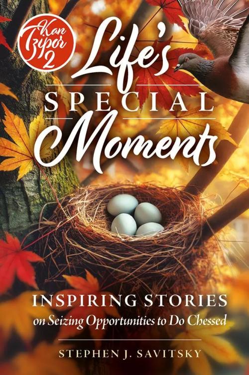 Life's Special Moments - Inspiring stories on seizing opportunities