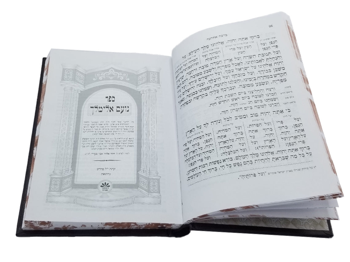 זמירות לשבת עם נועם אלימלך בינוני - כפתור
