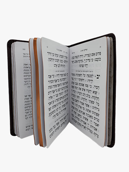 תהלים בינוני - כפתור ופרח FLEXY BURGUNDY 18 CM