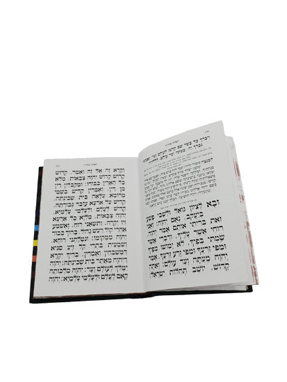 סדור השלם כפתור ופרח קטן ספרד Little Marcel