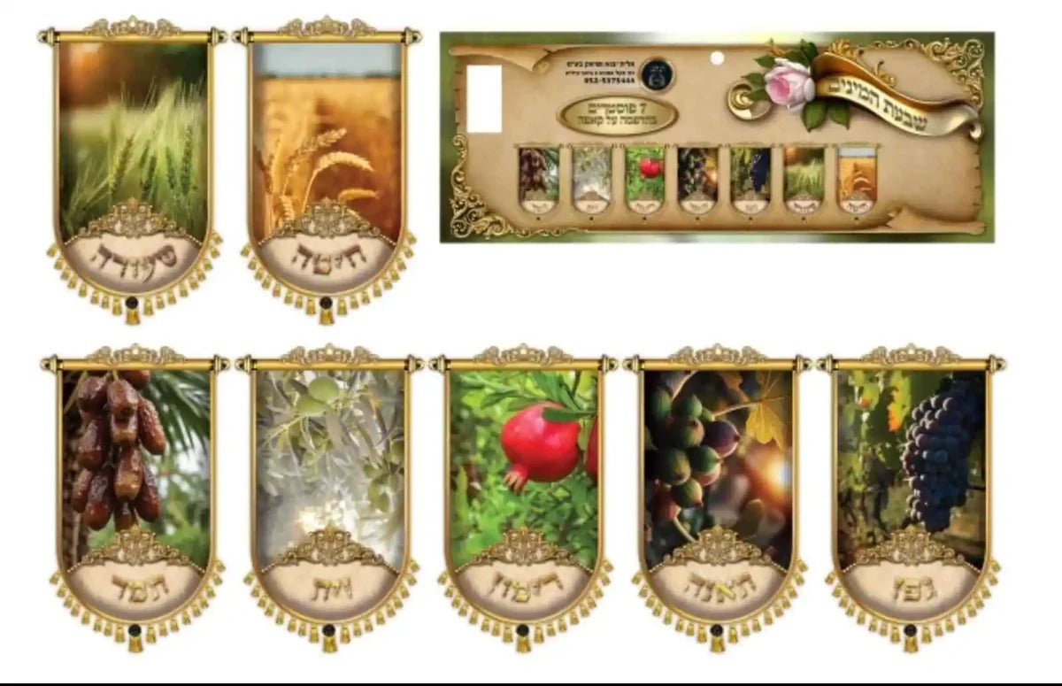 Foam DIY Shivas Haminim String