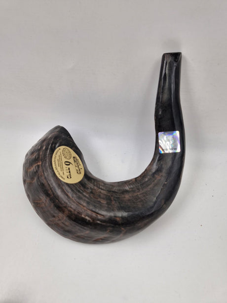 shofros -שופרות בהשגחת הרב לאנדא 3